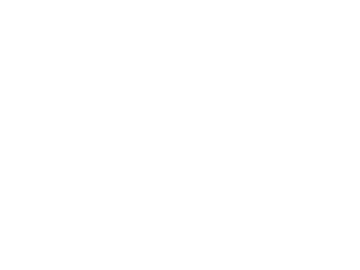 Logo Canal 1