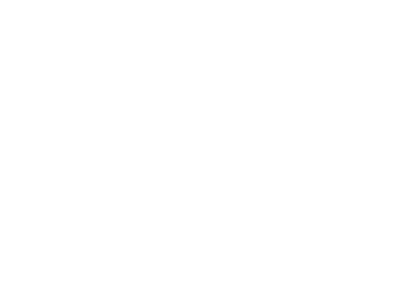 Logo Canal 1